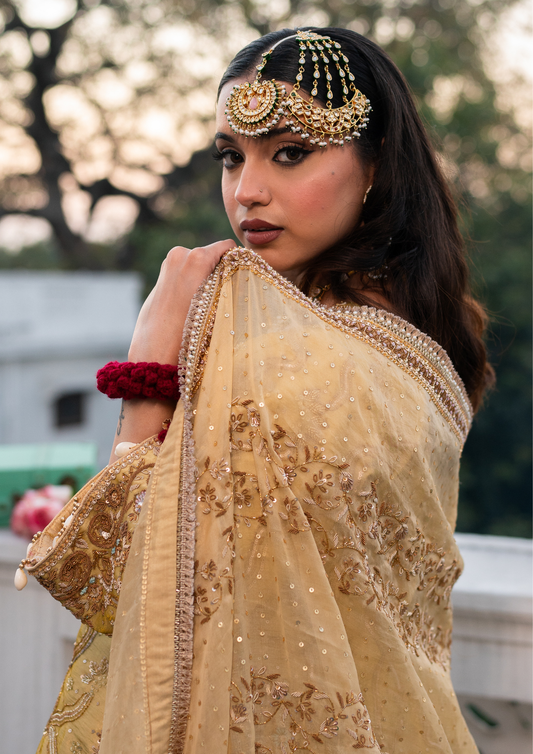 Begum Bagh