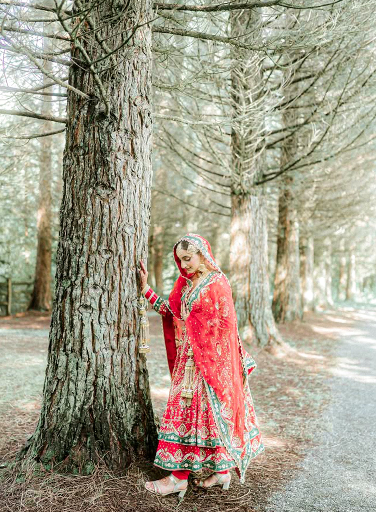 Dilruba