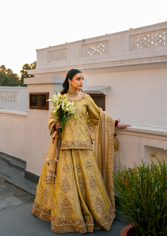 Begum Bagh