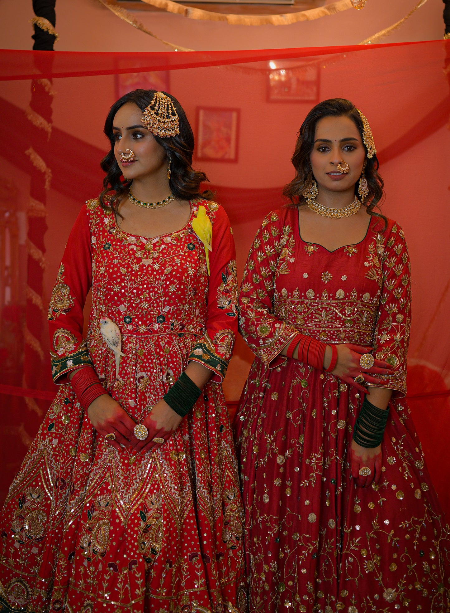 Chakor